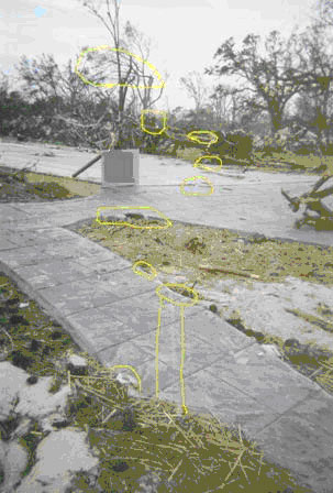 Tree Study and Foundation Study