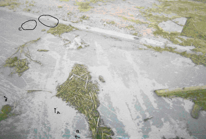 Hurricane Katrina Lines in Concrete