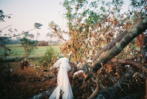 Hurricane Katrina Water and wind damage 