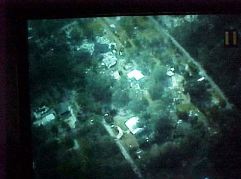 Aerial View Trees Down In Different Directions