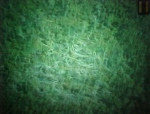 Starburst Pattern of Microburst