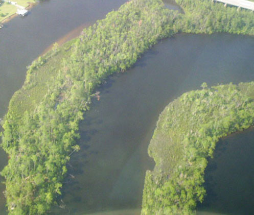 Hurricane Katrina Microburst Downburst Tornado Studies